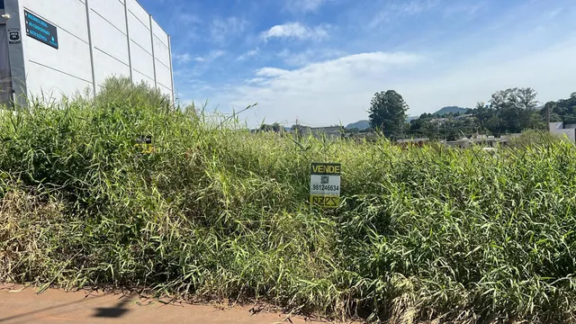 Terreno, foto 2