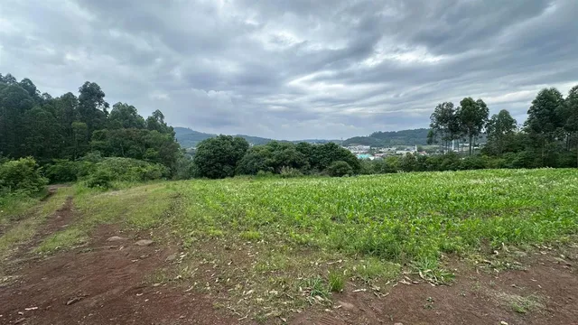 Área rural, foto 4