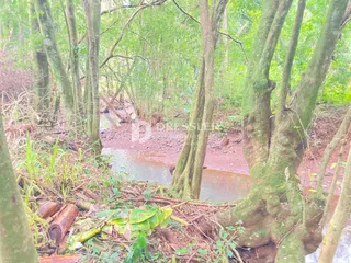 Terreno, foto 18