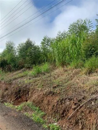 Área rural, foto 7