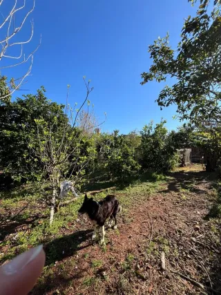 Área rural com 2 dormitórios, foto 14
