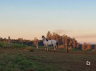 Área rural, foto 25