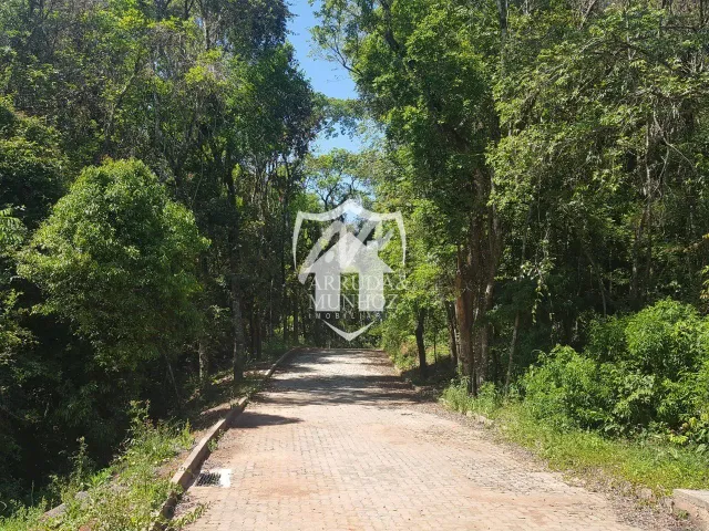 Casa com 4 dormitórios, foto 3