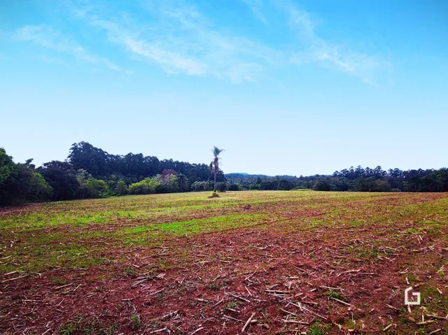 Terreno, foto 2