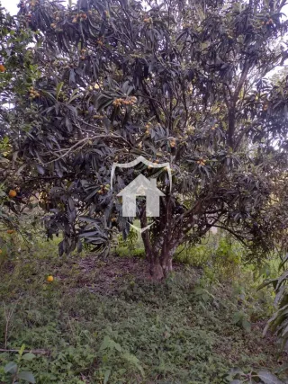 Área rural com 2 dormitórios, foto 10