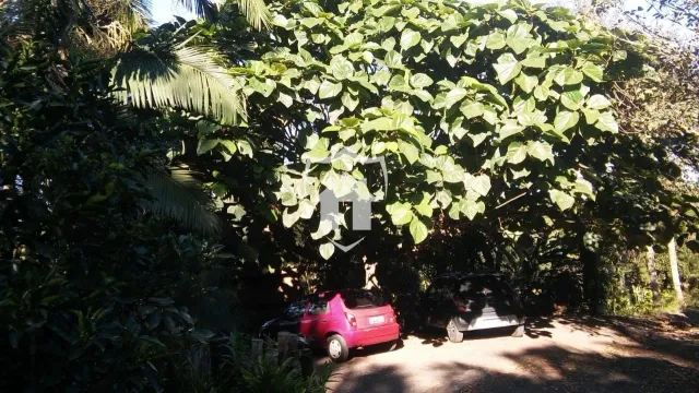Área rural com 2 dormitórios, foto 4