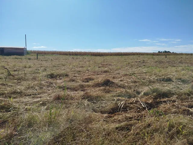 Terreno, foto 2
