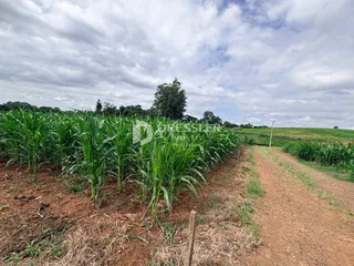 Área rural, foto 10