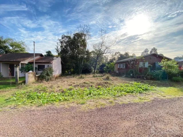 Terreno