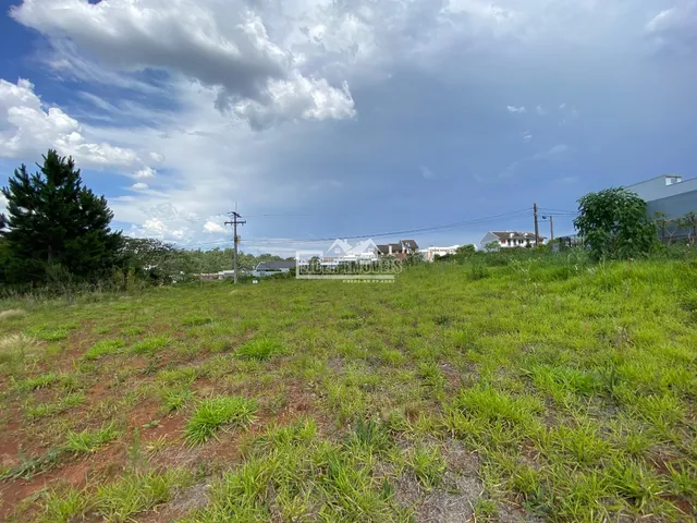 Terreno, foto 2