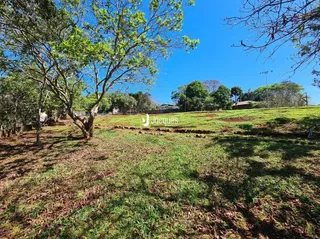 Campo gramado com árvores sob um céu azul.