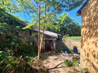 Área rural com 3 dormitórios, foto 6