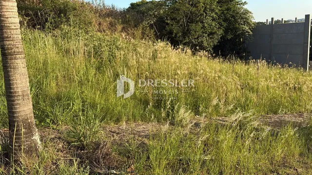 Terreno, foto 2