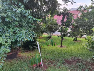 Casa com 3 dormitórios, foto 26