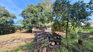 Área rural, foto 5