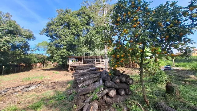 Área rural, foto 5