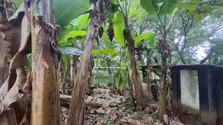 Área rural, foto 26