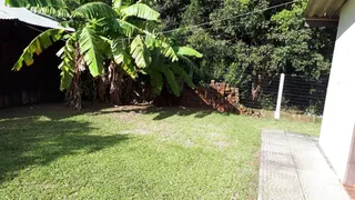 Área externa com gramado verde e vegetação densa.
