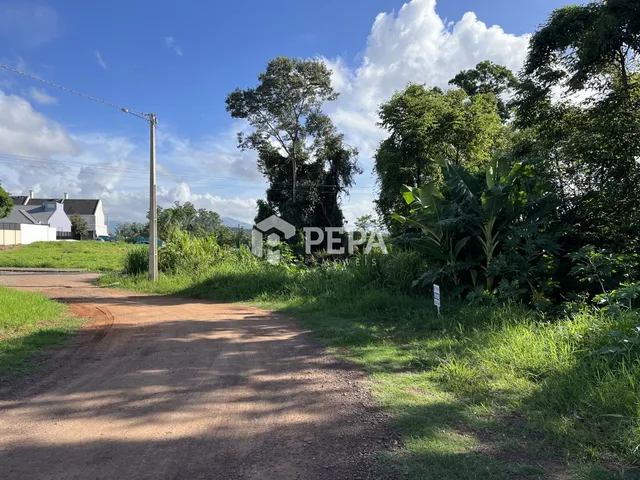Terreno, foto 3