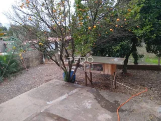Vista externa de um terreno com vegetação e uma laje de concreto no primeiro plano.