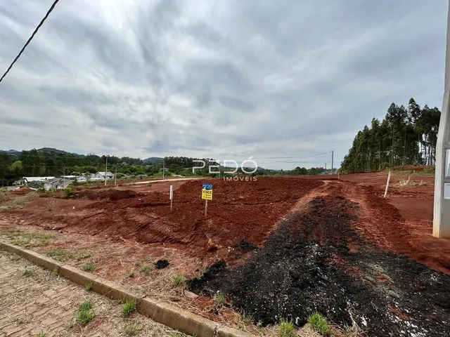Vista de um terreno aberto com terra vermelha e vegetação no fundo.