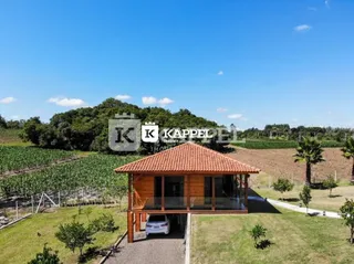 Gazebo de madeira com telhado vermelho em uma área gramada com vinhedos ao fundo.