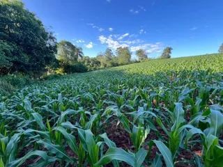 Área rural, foto 6