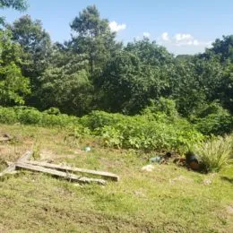 Terreno, foto 2