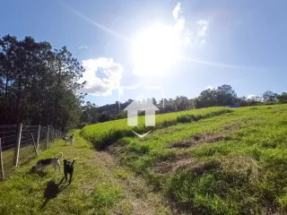 Área rural com 3 dormitórios, foto 9