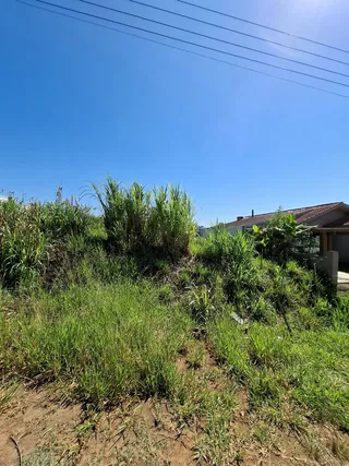 Terreno, foto 1