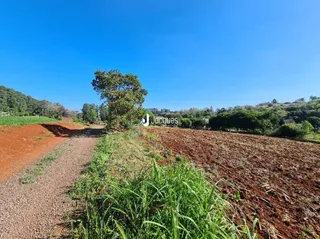 Uma paisagem de terra vermelha com vegetação verde e árvores sob um céu azul.