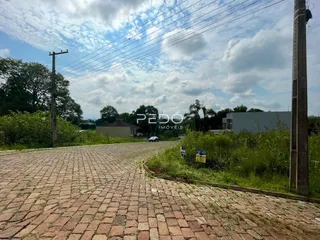 Uma rua pavimentada leva a uma propriedade com vegetação ao redor.