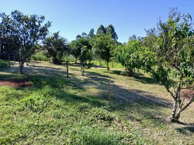 Terreno, foto 5