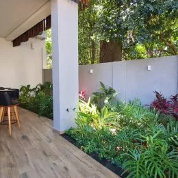 Foto de um jardim externo com piso de madeira e vegetação densa.