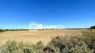 Área rural com 3 dormitórios, foto 28