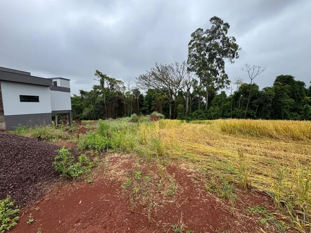 Vista externa da residência em Lajeado com campo seco e vegetação no primeiro plano.