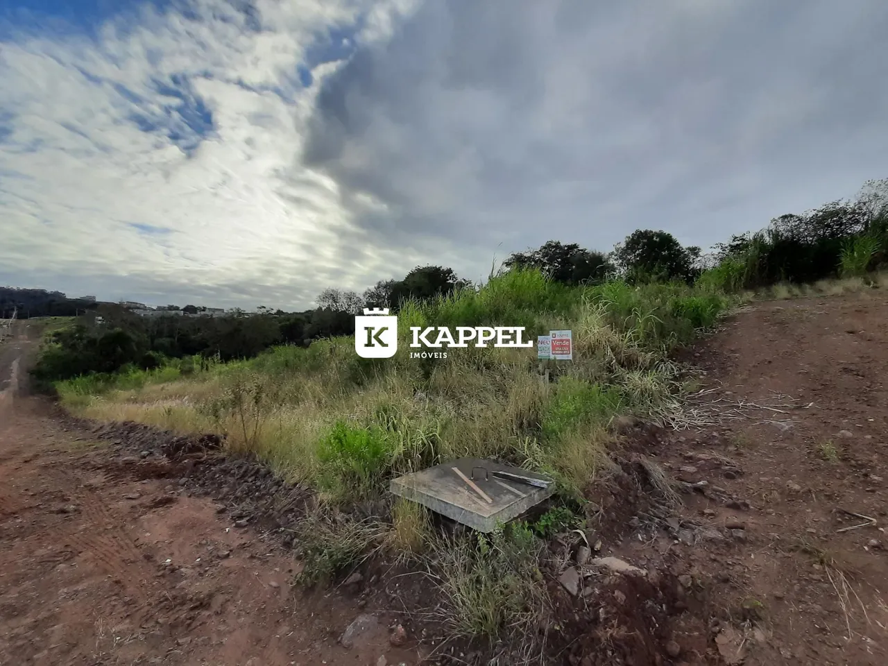 Vista externa de uma área de terra com vegetação alta.