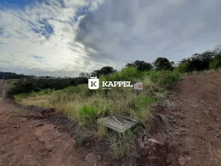 Vista externa de uma área de terra com vegetação alta.