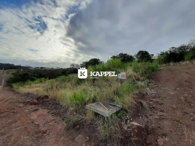 Vista externa de uma área de terra com vegetação alta.