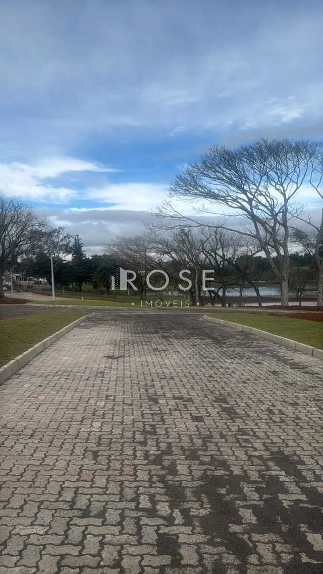 Terreno, foto 3