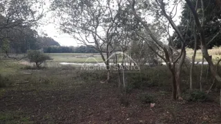 Área rural, foto 6