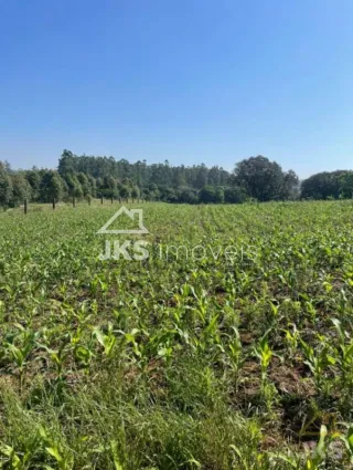 Área rural, foto 2
