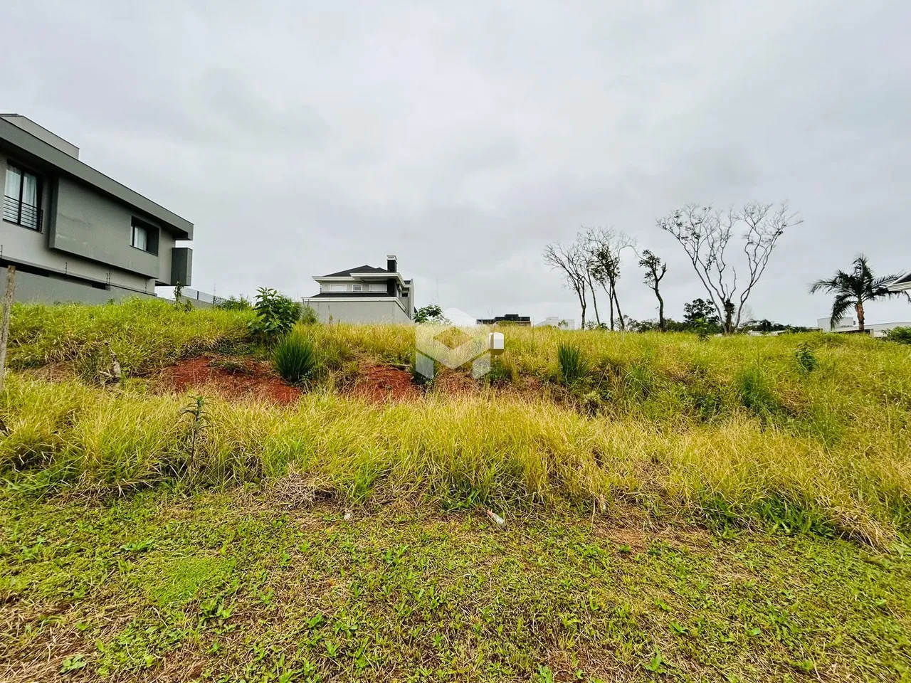 Vista externa de uma propriedade com terreno gramado e vegetação densa.