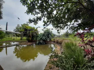 Área rural com 4 dormitórios, foto 13
