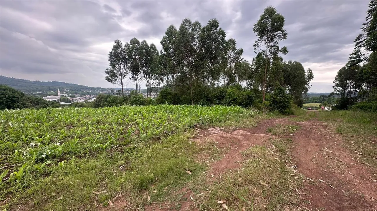 Área rural, foto 1