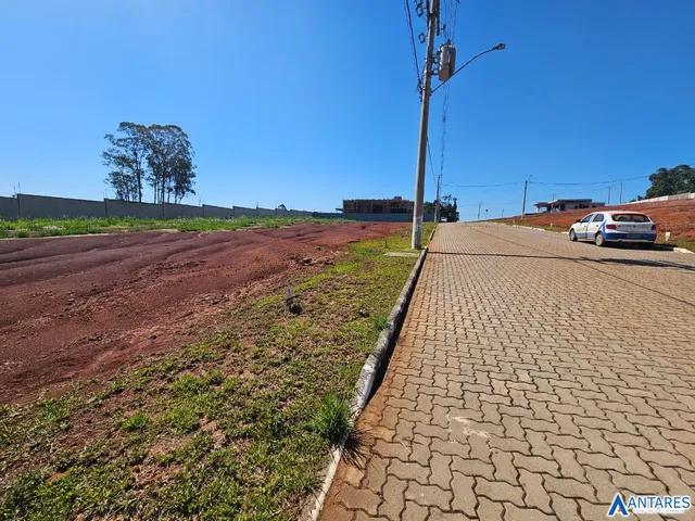 Terreno, foto 3