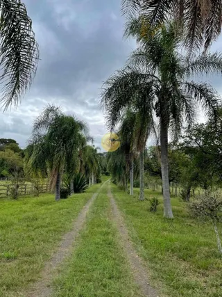 Área rural com 3 dormitórios, foto 8