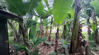 Área rural, foto 9