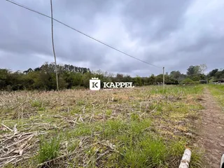 Paisagem de campo com vegetação seca e um caminho de terra.