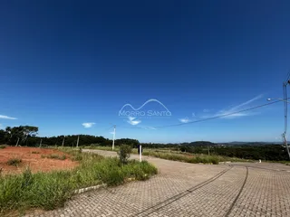 Vista panorâmica de uma estrada de terra com vegetação rasteira sob um céu azul claro.
